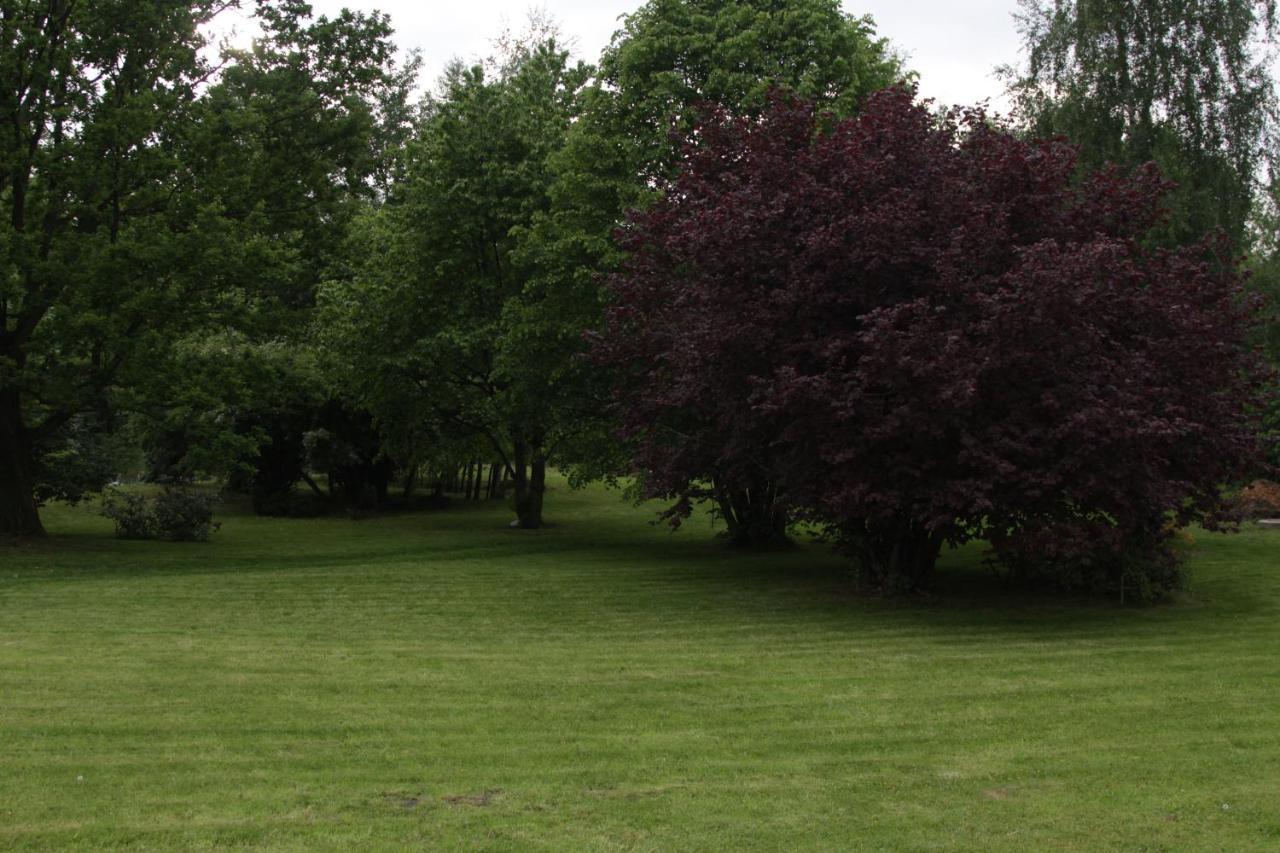 Lazurowa Prowansja - Agroturystyka Villa Toscana Boleslawiec  Luaran gambar